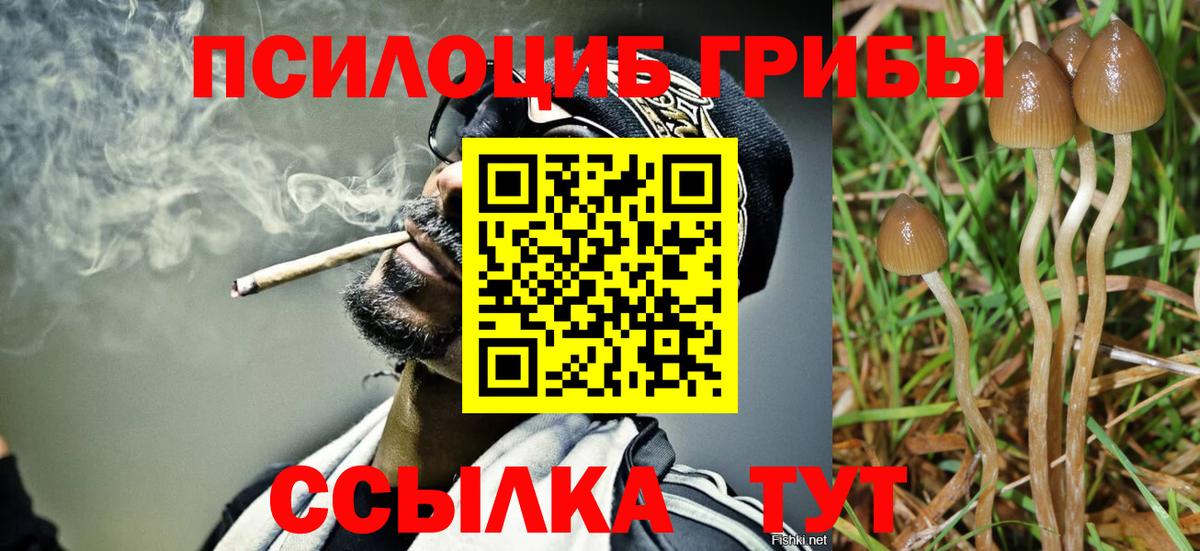 Карталы  купить наркотик  Вход с VPN  Галлюциногенные грибы ЛСД 